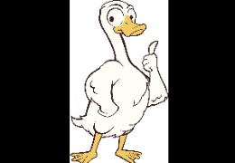 食品原料小百科：PQQ在動物領(lǐng)域的應(yīng)用？