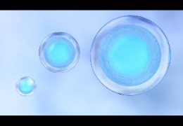 銀耳多糖(TFPS)在抗光老化中的應(yīng)用研究(下)