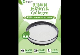 【驚艷一夏】魚膠原蛋白肽,讓你的肌膚不再年輕一代!