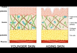 正確選擇精華素，讓你的肌膚更緊致、更年輕
