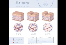 護膚品保濕成分的黃金標準——透明質酸鈉