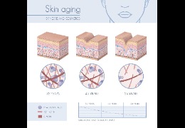 羥丙基三甲基氯化銨：透明質酸鉀的功效及用途  乙?；该髻|酸鈉