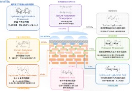 透明質酸鈉在化妝品中的復配應用