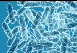 食品加工環境微生物監控如何采樣（上）